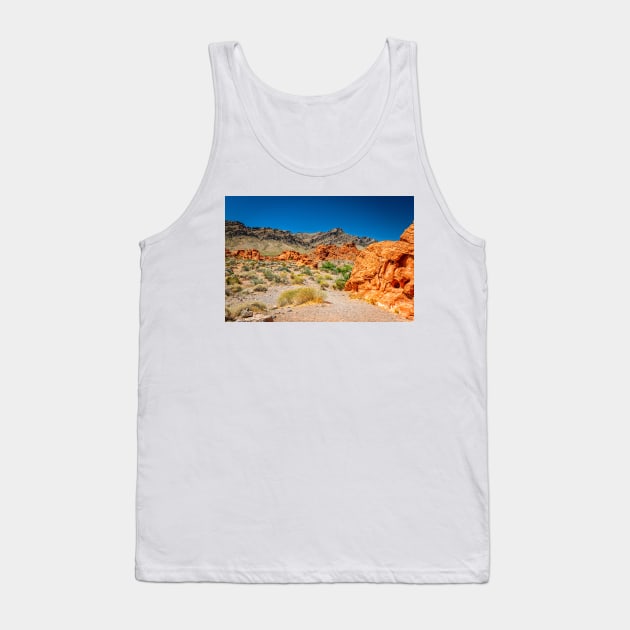 Valley of Fire State Park Tank Top by Gestalt Imagery